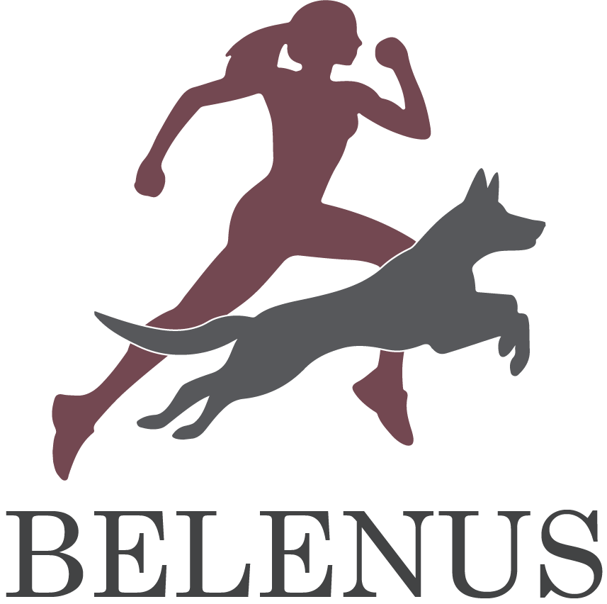 Hyvinvoinnin Belenus logo, jossa juokseva ihminen ja koira.